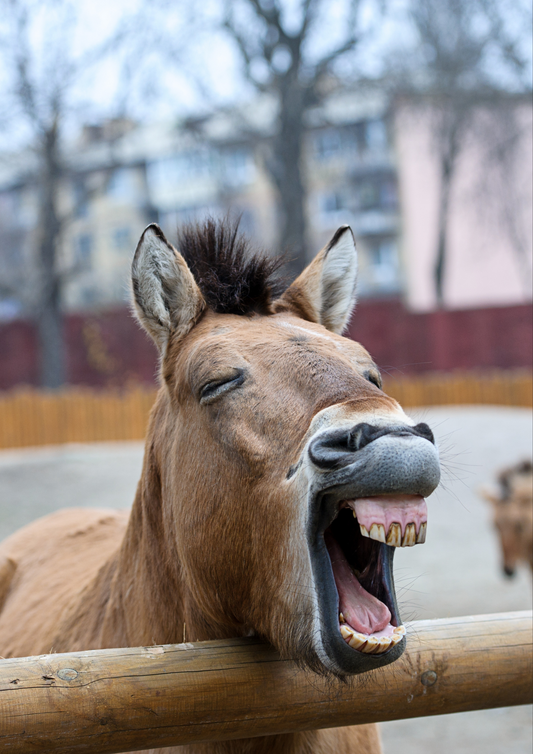 Why Your Brand Needs Therapy